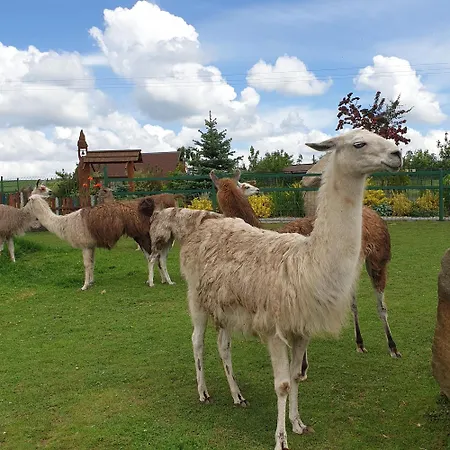 Alojamento de Turismo Rural Farma Wenet *