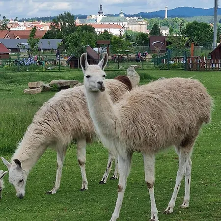 Farma Wenet Alojamento de Turismo Rural Broumov