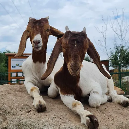 Alojamento de Turismo Rural Farma Wenet Broumov