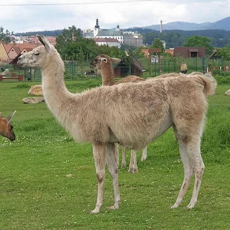 Farma Wenet Alojamento de Turismo Rural