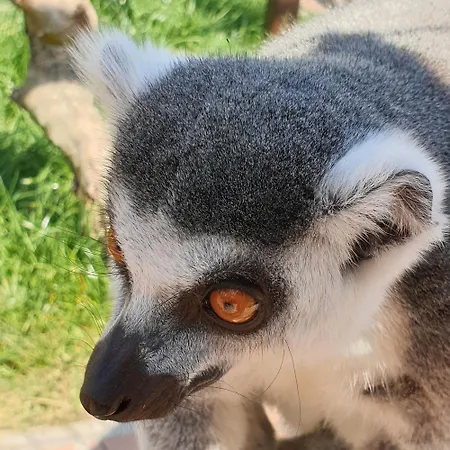 Farma Wenet Alojamento de Turismo Rural Broumov