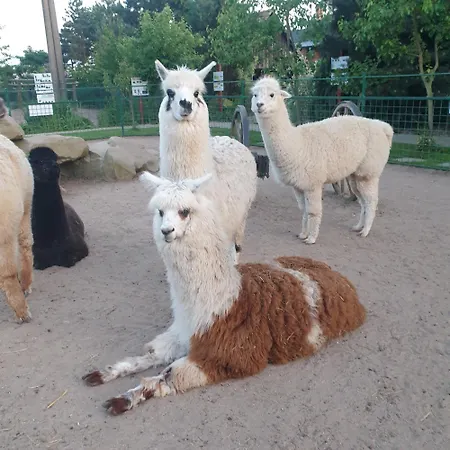 Alojamento de Turismo Rural Farma Wenet Broumov