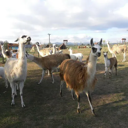 Farma Wenet Agroturismo *